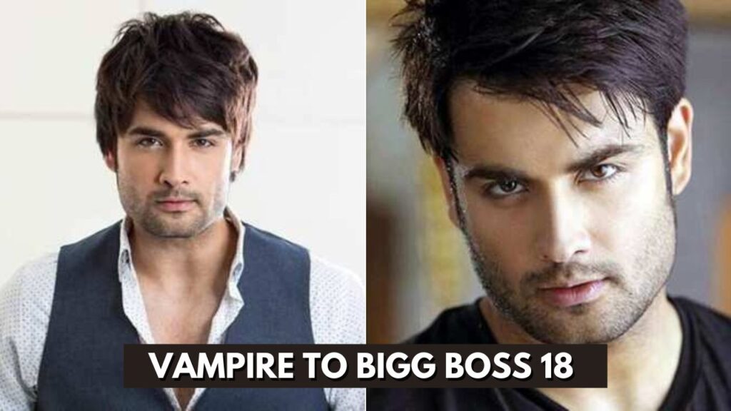 The journey of Vampire Vivian to became Vampire Vivian Dsena and now Bigg Boss 8 runner up